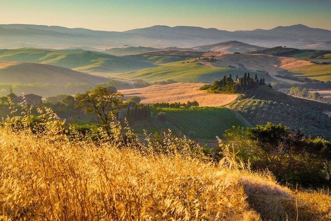 private-montalcino-and-pienza-tour-from-siena