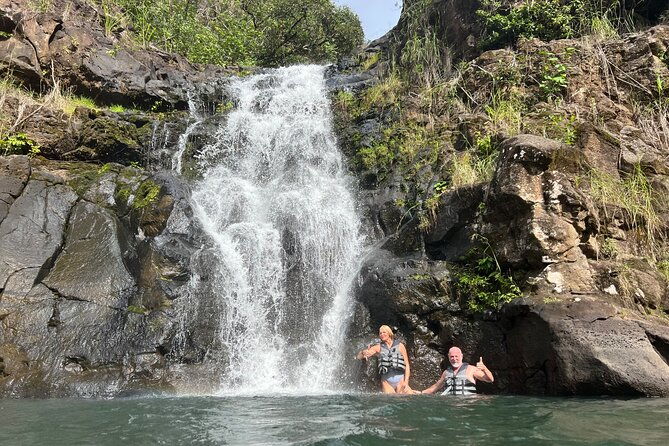private-north-shore-waterfalls-and-turtles-tour