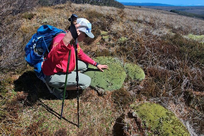 private-patagonian-forest-hike-in-punta-arenas-6-hour