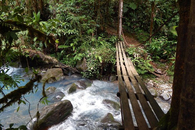 private-path-to-swimming-in-the-blue-water