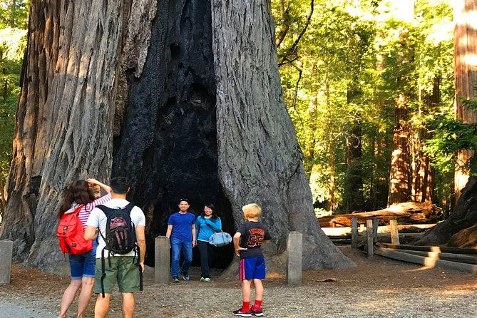 private-redwoods-tour-beach-horseback-riding-experience-from-san-francisco