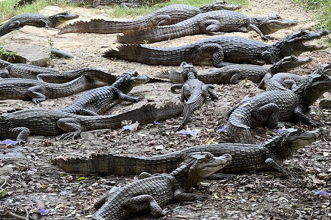 private-reptile-zoo-adventure-tour-with-guide-in-cartagena