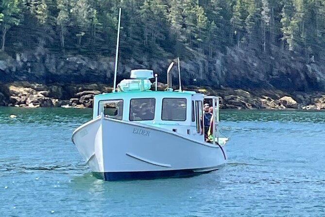 private-sightseeing-charter-in-frenchman-bay