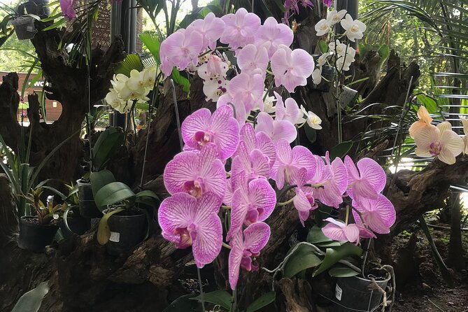 private-silleteros-flowers-tour