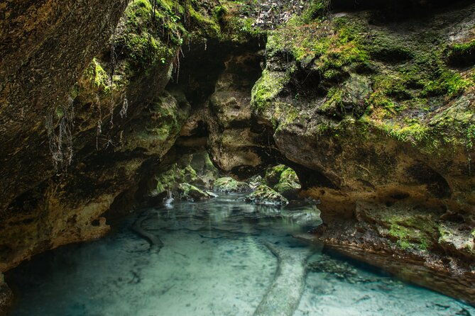 private-snorkeling-expedition-in-the-florida-springs