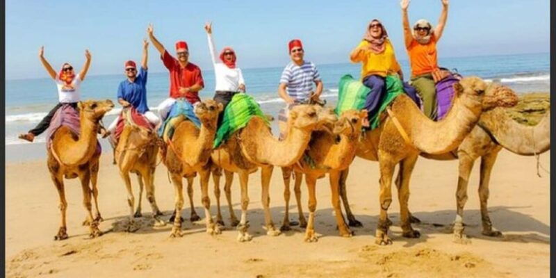 private-tangier-tour-from-gibraltar-including-camel-lunch