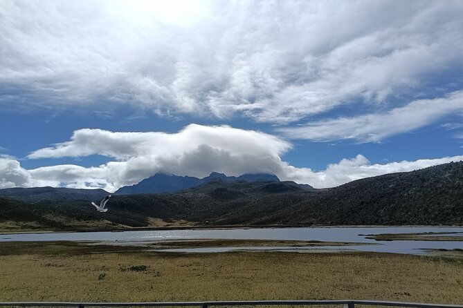 private-tour-cotopaxi-natural-wonders