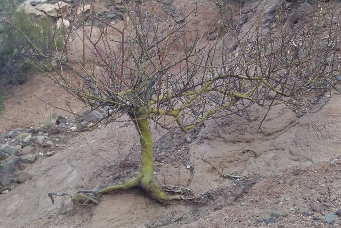 private-tour-from-mendoza-to-the-divisadero-largo