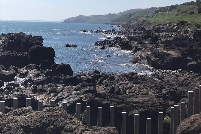 private-tour-giants-causeway-2-stop-tour