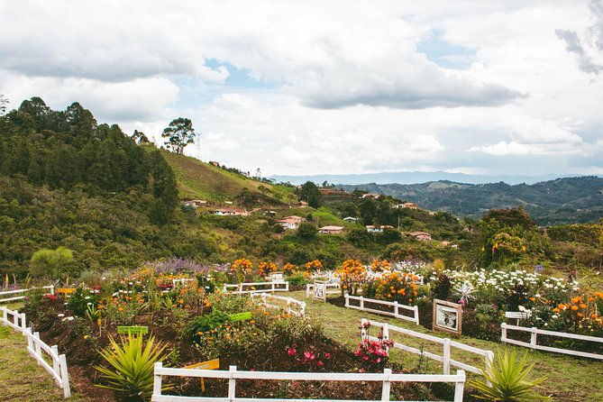 private-tour-medellins-flower-culture-the-silletero-tradition-of-santa-elena