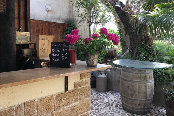 private-tour-medieval-saint-paul-wine-tasting-from-nice