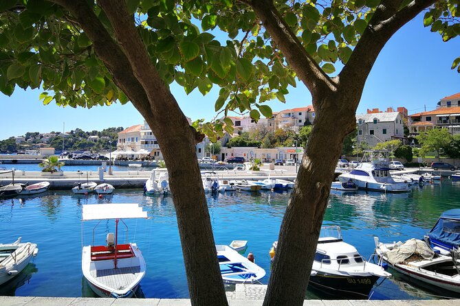 private-tour-of-brac-island-with-olive-oil-tasting