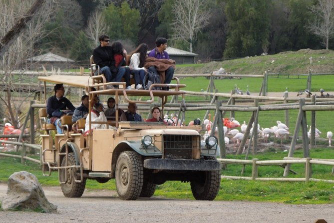 private-tour-of-sonoma-wild-safari-animal-park-and-sonoma-redwoods