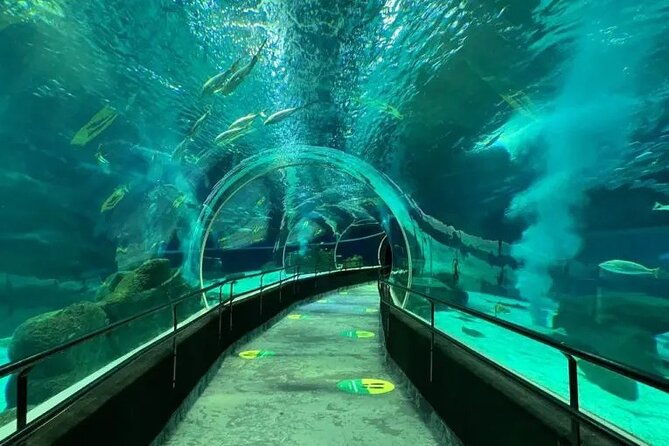 private-tour-olympic-boulevard-aquarium