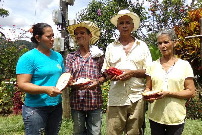 private-tour-peacebuilding-in-antioquia-from-coca-fields-to-cocoa