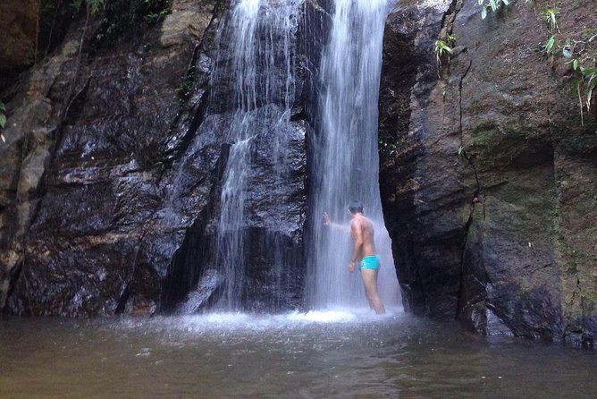 private-tour-rio-de-janeiro-eco-tour-at-tijuca-national-park