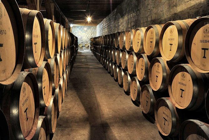private-tour-santa-rita-vineyard-with-wine-tastings