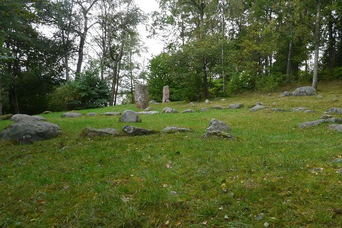 private-tour-swedish-iron-age-excursion-from-stockholm-3h
