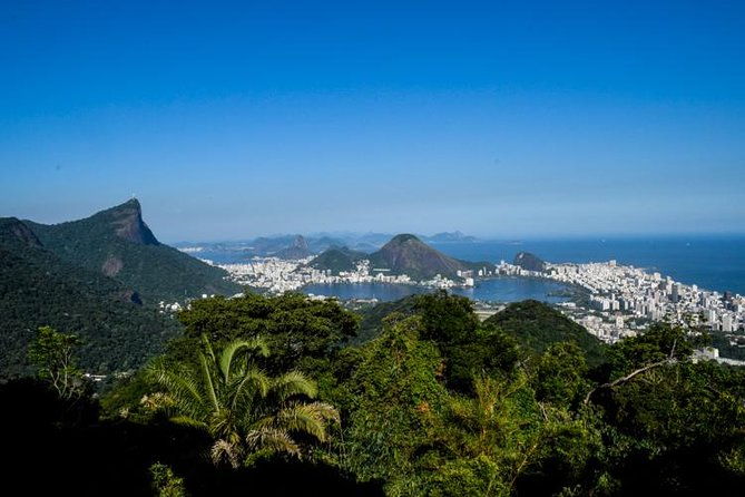 private-tour-tijuca-national-park-with-a-photographer