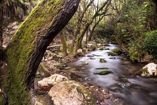private-tour-to-arcos-de-la-frontera-el-bosque-and-ubrique-from-cadiz