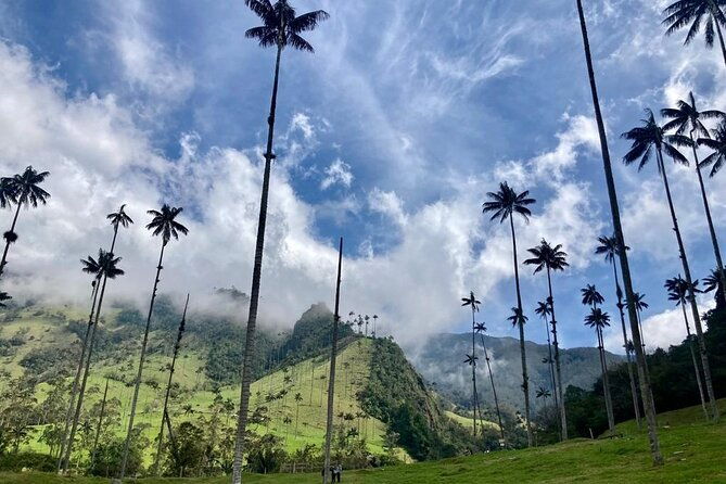 private-tour-to-cocora-valley-and-salento-with-transportation-included