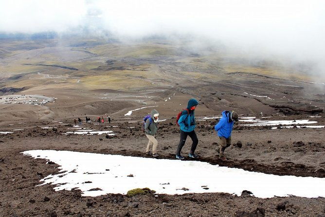 private-tour-to-cotopaxi-national-park-from-quito