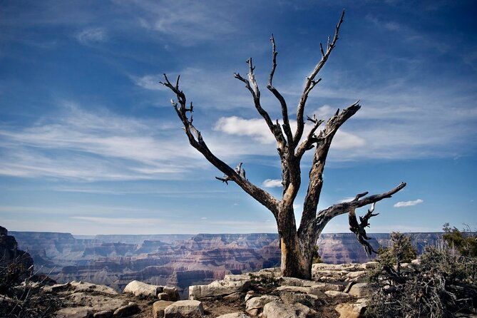 private-tour-to-grand-canyon-from-las-vegas-with-driver-and-guide