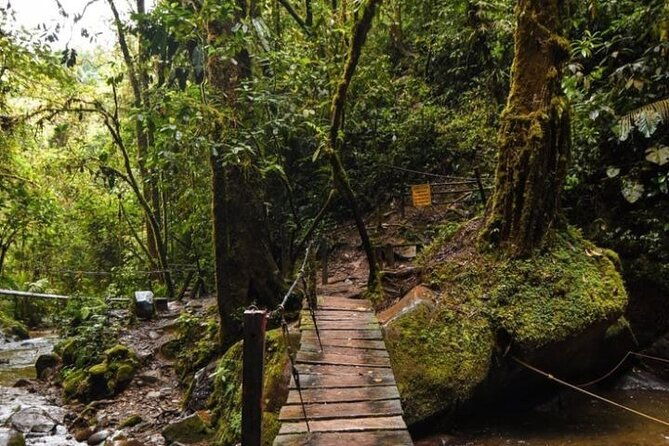 private-tour-to-salento-and-cocora-and-filandia