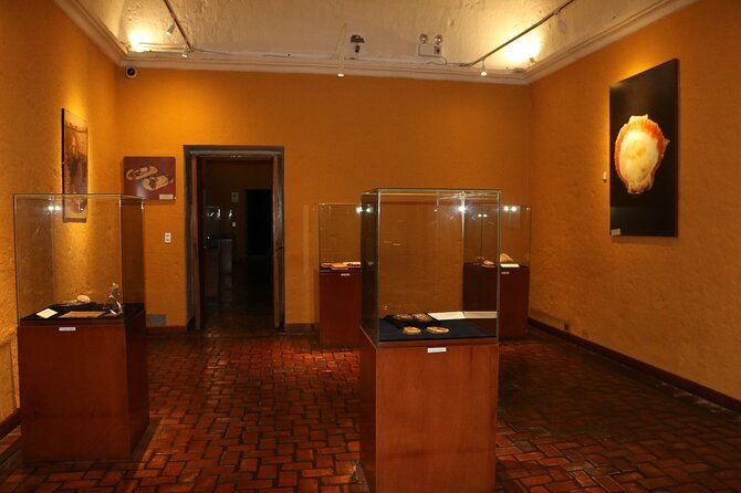 private-tour-to-the-museum-of-andean-sanctuaries-in-arequipa