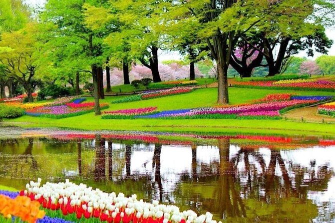 private-tour-to-tulips-keukenhof-windmills-cheese-farm