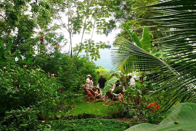 private-tour-to-zopango-island-with-fish-lunch-swim-kayak