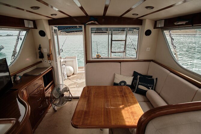 private-tour-with-dolphin-watching-in-algeciras-bay