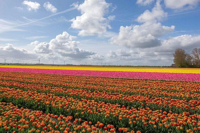 private-transfer-from-brussels-to-amsterdam