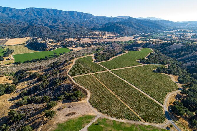 private-vineyard-tour-and-wine-tasting