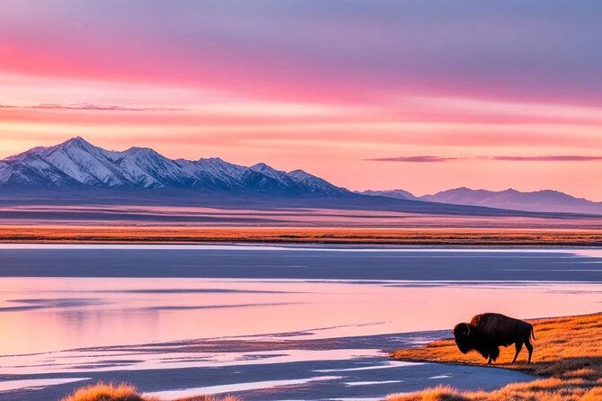private-wildlife-and-scenic-tour-on-antelope-island