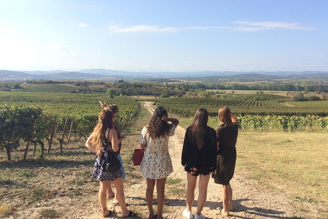 private-wine-day-tour-from-carcassonne-and-around