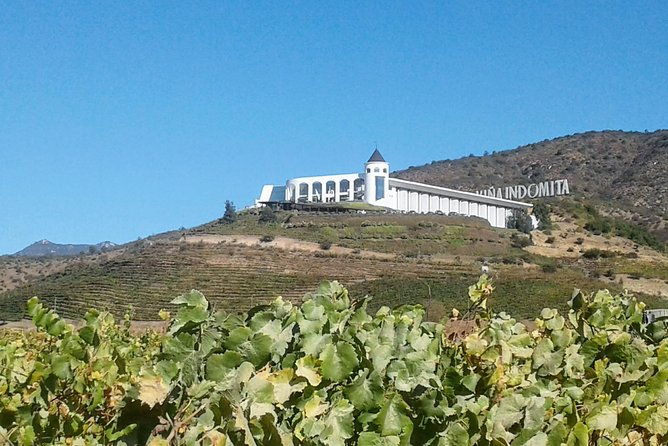 private-wine-tasting-tour-in-casablanca-valley-vineyards