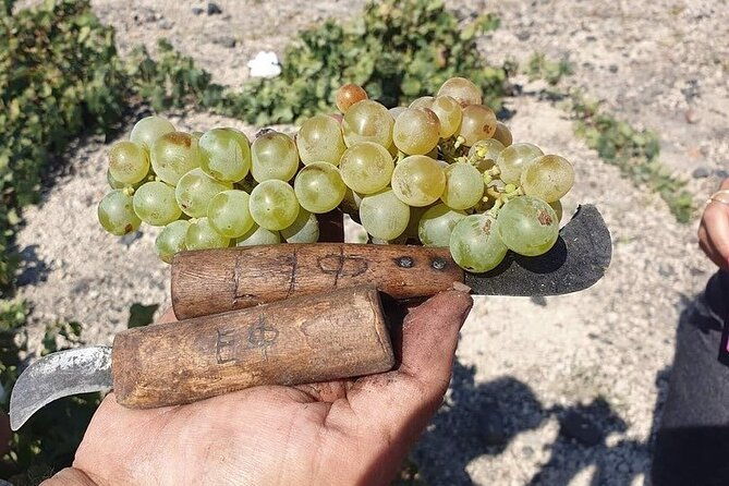 private-wine-tour-in-santorini