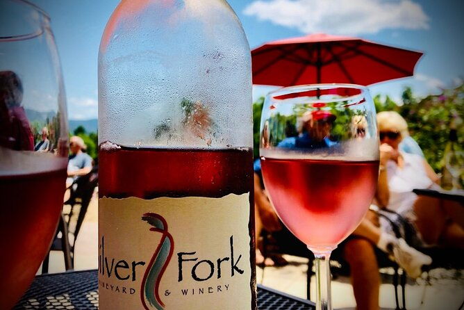 private-wine-tour-with-dine-in-black-mountain-from-asheville