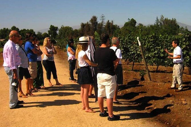 private-winery-undurraga-from-santiago