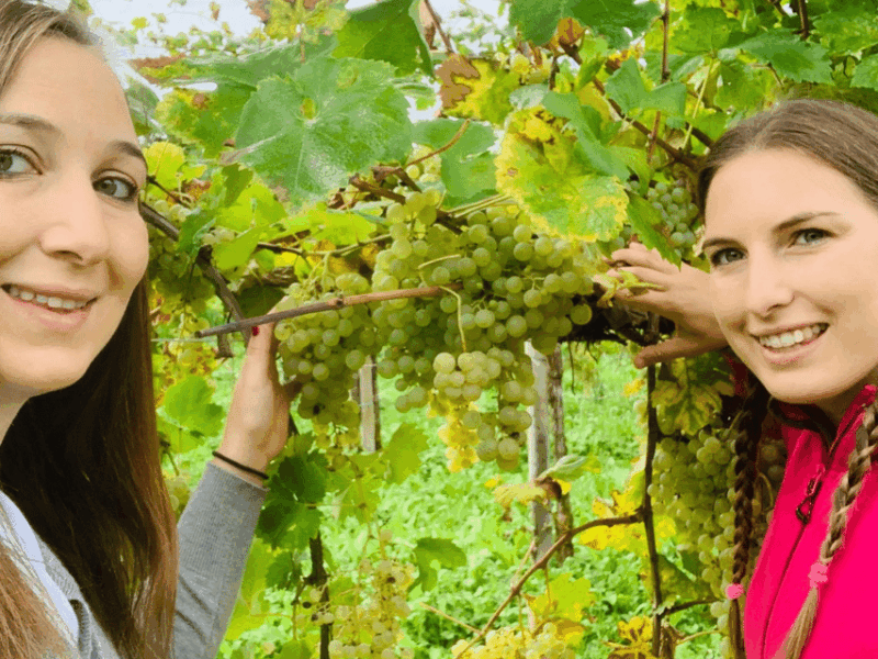 prosecco-tasting-in-countryside-winery