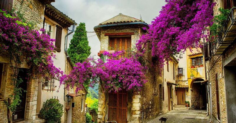 provence-private-tour-aix-en-provence-marseille-cassis