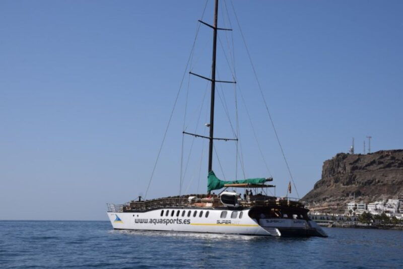 puerto-rico-2-hour-dolphin-catamaran-excursion
