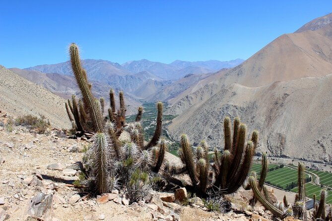 puritama-canyon-and-guatin-trekking