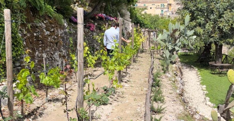 radici-iimmerse-yourself-in-the-heady-scents-of-our-garden