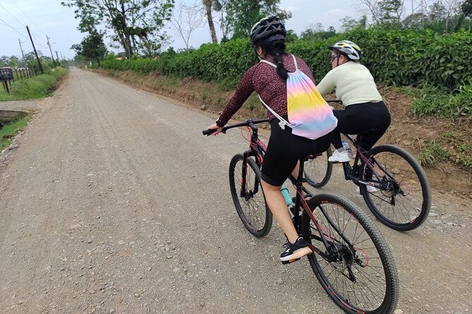 rainforest-bike-tour-in-la-fortuna