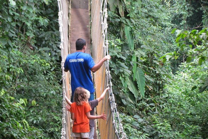 rainmaker-hike-and-hanging-bridges
