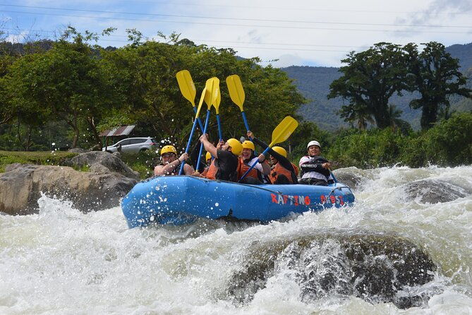 rapids-class-ii-iii-sarapiqui