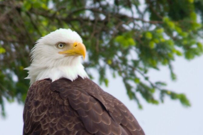raptor-encounters-and-immersive-dome-experience