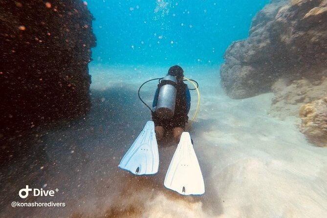 refresher-scuba-dive